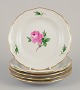 Meissen, Germany.
Five "Pink Rose" plates.