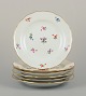 Meissen, Germany.
Six dinner plates in porcelain.