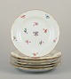 Meissen, Germany.
Six dinner plates in porcelain.