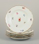 Meissen, Germany.
Five dinner plates in porcelain.