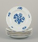 Meissen, Germany.
Six dinner plates in porcelain.