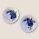 Royal Copenhagen
Gebogene blaue Blume
Kleine Schale
Nr. 10/1505
*50 DKK