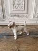 Karstens Antik 
præsenterer: 
B&G figur 
Ruhåret Fox 
terrier no. 
2072