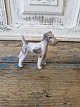 Karstens Antik 
præsenterer: 
Royal 
Copenhagen 
Figur - Ruhåret 
Terrier no. 
3170