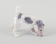 Royal 
Copenhagen, 
porcelænsfigur 
af Ruhåret 
foxterrier.