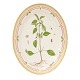 Royal 
Copenhagen 
Flora Danica 
large plate 
3517. L: 36cm. 
...
