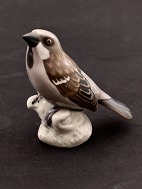 Bing & Grondah Sparrow. No. 1888. 