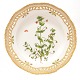 Aabenraa 
Antikvitetshandel 
präsentiert: 
Royal 
Copenhagen 
Flora Danica 
Teller 3553. 
"Anagallis 
arvensis L.". 
D: ...