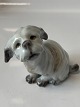 Dahl Jensen dog figurine, Maltese.
Decoration No. 1120