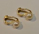 10 carat ear 
clips in red 
gold with 
pearls. 20th 
century