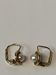 14 carat gold earrings with pearl.
Length 1.2 cm.
