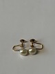 Earrings with pearl, 14 Karat Gold with Screw Lock