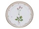 Flora Danica
Luncheon plate 
22 cm. #3572