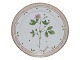 Flora Danica
Luncheon plate 
22 cm. #3572