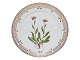 Flora Danica
Luncheon plate 
22 cm. #3572