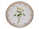 Flora Danica
Luncheon plate 
22 cm. #3572