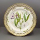 Royal Copenhagen, Flora Danica; Middagstallerken #3553