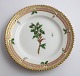 Lundin Antique 
præsenterer: 
Royal 
Copenhagen, 
Flora Danica. 
Kage tallerken. 
Design #3552. 
Diameter 14,5 
cm. (1 ...