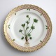 Lundin Antique 
præsenterer: 
Royal 
Copenhagen, 
Flora Danica. 
Kage tallerken. 
Design #3552. 
Diameter 14,5 
cm. (1 ...