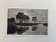 Ole Buus Larsen præsenterer: Radering af John Lübschitz - Å udløb 1893.