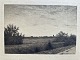 Ole Buus Larsen præsenterer: Radering Adolph Larsen 1899 - Sommeraften ved Rødovre.