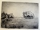 Ole Buus Larsen præsenterer: Radering af Kai Vilhelm de Fine-Licht 1933 - Trægruppe ved Rørvig.