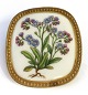Royal Copenhagen. Flora Danica motiv. Broche / vedhæng med sølvbagside (925). Højde 4,8 cm. Bredde 4,5 cm.
