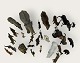 LineolGermanyZoologisk have dyr*2100kr samlet