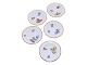 Full Saxon FlowerSmall tray 7.3 cm.