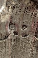 sub: 5