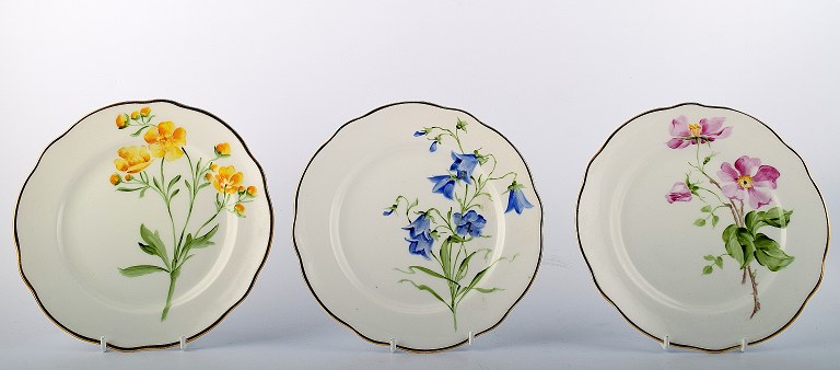 Art nouveau Rörstrand sæt på 11 porcelænstallerkener med blomster motiver.