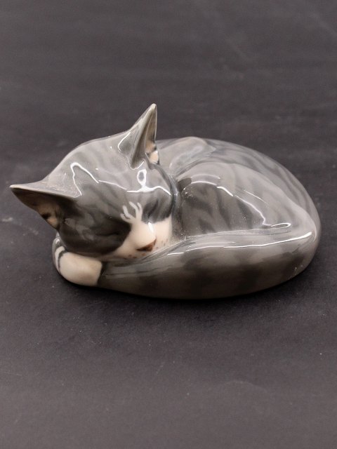 Royal Copenhagen sleeping cat 422