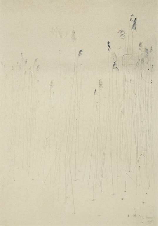 Gunnar Norrman, Sverige.
“Vinterstrån”, 1971.
Blyant på papir.
