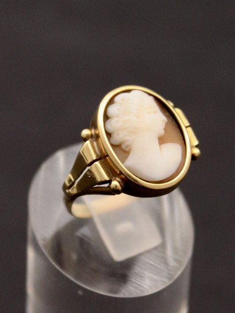 Text zug&auml;nglich auf D&auml;nische